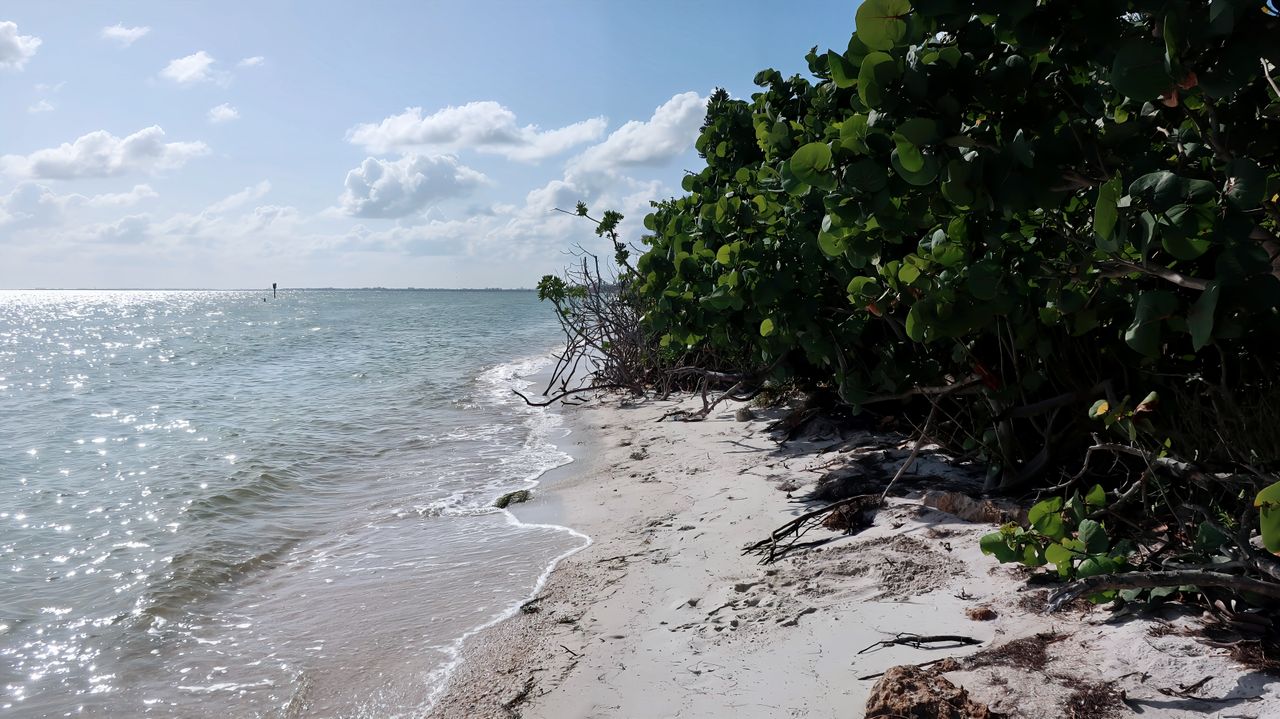Littoral, estuaires et mangroves de Basse-Guinée